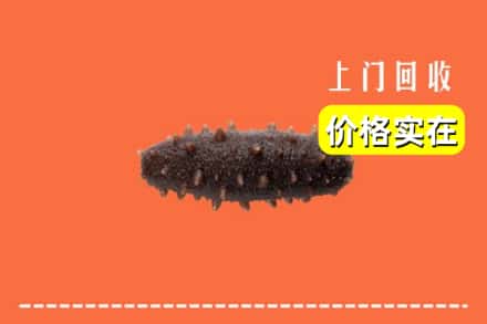 黄南州同仁市回收海参
